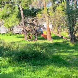 ..aber wir suchen für unsere nächsten Tage wieder etwas mehr Ruhe..