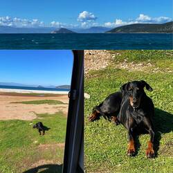 Montag während dem Frühstück genießt Lesley schon ihre Freiheit.Brav is sie trotz Nachbarschaft..👍🏻