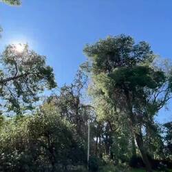 ..drei Tage war völlig ok.aber nun geht's wieder weiter..nächstes Ziel noch offen 😂