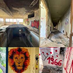 Erich's Geburtsjahr und mein Sonnenzeichen 😂