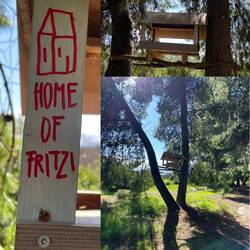 ..aber rundum die riesige Gartenanlage ist immer noch schön ❣️