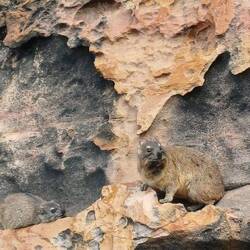 die Kleinen haben gerade "Siesta" 😆