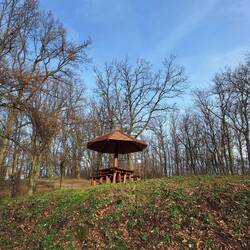 Picknick Platz. Davon gibt es hier viele.