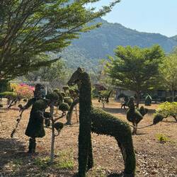 Opposite the Wat, I delighted in seeing a large eclectic topiary garden. Love a bit of topiary.