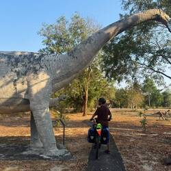 It felt calmly surreal cycling past the dinosaurs in the early morning light.