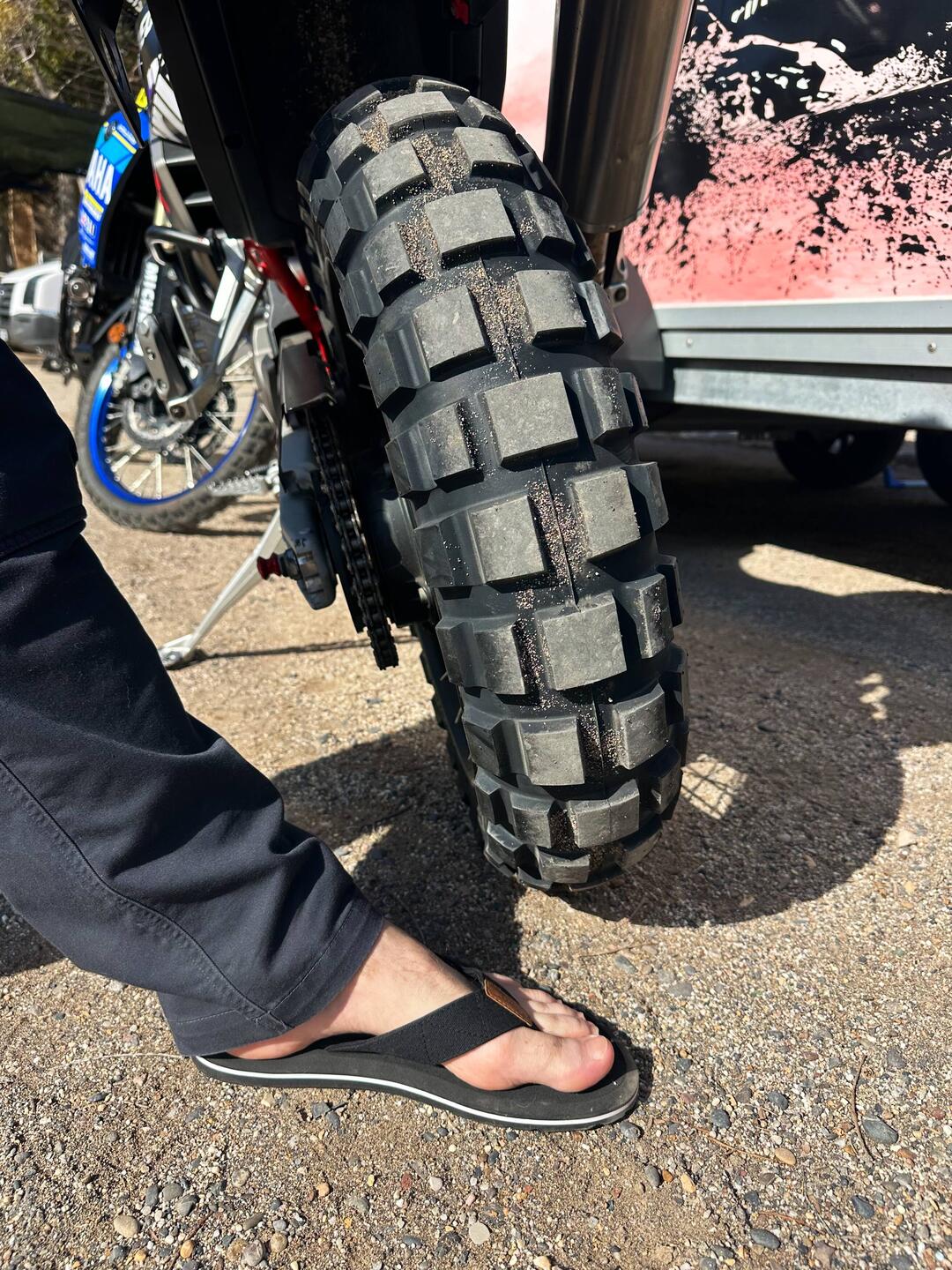 Toto und Chloé haben neue Schuhe bekommen