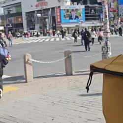 Le fameux et iconique carrefour de Shibuya Station. Bein c'est juste un carrefour quoi lol