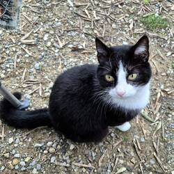 Da kannst Du noch so schauen, es gibt nix 😄