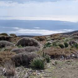 Das lybische Meer liegt wie Blei vor den Bergen.