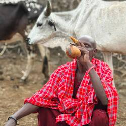 Drinking the blood. 🤢