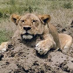 Tired female relaxing