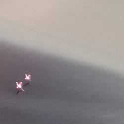 Flamingos flying below