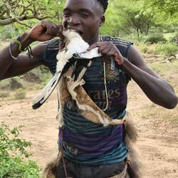 Biting the poor bird. 😢