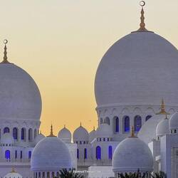 Die Motive gehen einem nicht aus