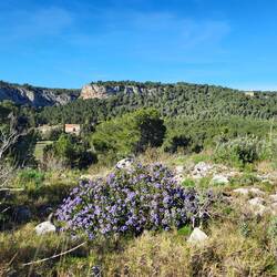 Noch ein Blick zurück.