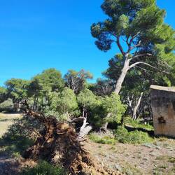 Hier hat der Sturm mächtig gewütet.