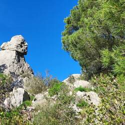 Auf Geröll geht es steil aus der Schlucht heraus.