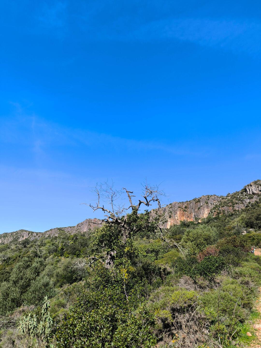 da oben wollen wir hin