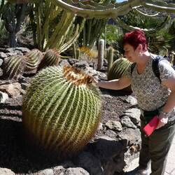 .... Und Kaktusgarten....