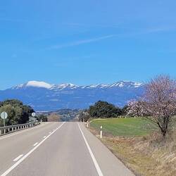 Ein letztes Mal die schneebedeckten Gipfel der Pyrenäen