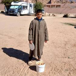 Jeden Tag frische Eier