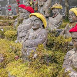 Manchmal auch gelbe.