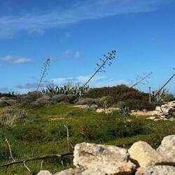 windy?! 😂😂😝