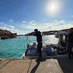 garbage collection - the island way