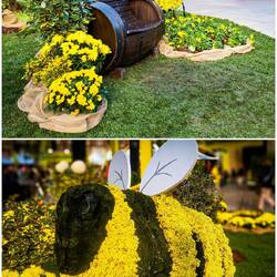Villaggio Coldretti in Piazza Maggiore — Bologna, Italy.