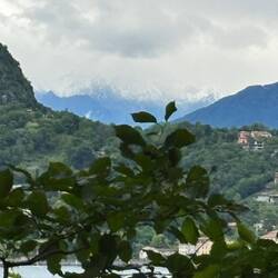 The Alps in the far distance