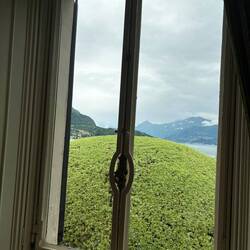 View of the lake. The holm oak is specially trimmed so as not to obscure the view