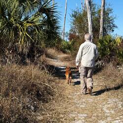 Der Rest offene Steppe