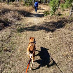 Kaylee wie immer auf Grandma fixiert