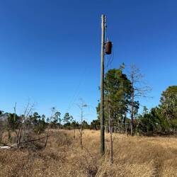 Vor ? Jahr(Zehnt)en gab es hier sogar Stromversorgung