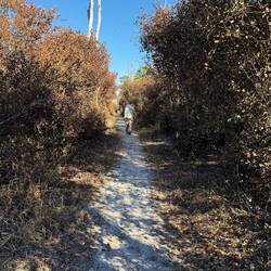 Hälfte des Weges war im Schatten
