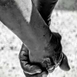 Jeder sucht seinen halt