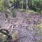 The infamous mud!