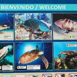 Was hier so alles schwimmt