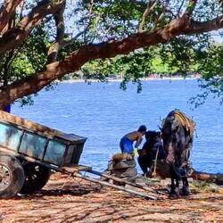 ... und die Familie wartet am Ufer ☺️