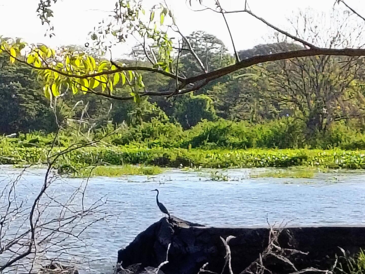 Morgendlicher Blick ...