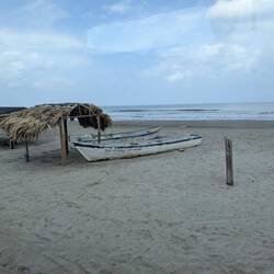 I guess these fishers didn't go out today