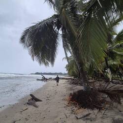 Da wirken auch die Palmen nicht