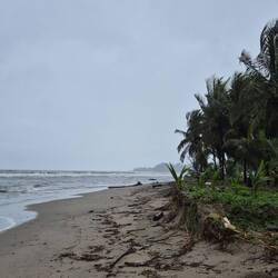 Karibikstrand in nass und grau
