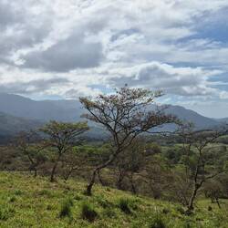 Südlich der Berge scheint die Sonne