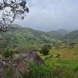 Richtung Karibik wird es langsam feuchter