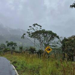 Hin und wieder auch mal steiler