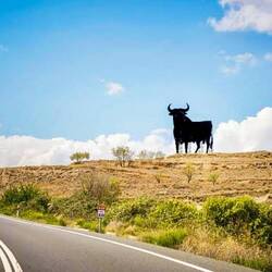 Bull silhouettes are seen regularly along major roads