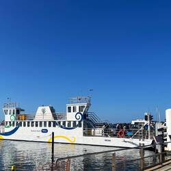 Raymond Island Ferry