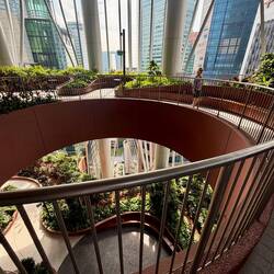 Garten rings ums Haus