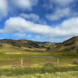 Otago Peninsula